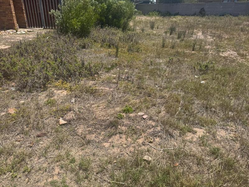 0 Bedroom Property for Sale in Reebok Western Cape